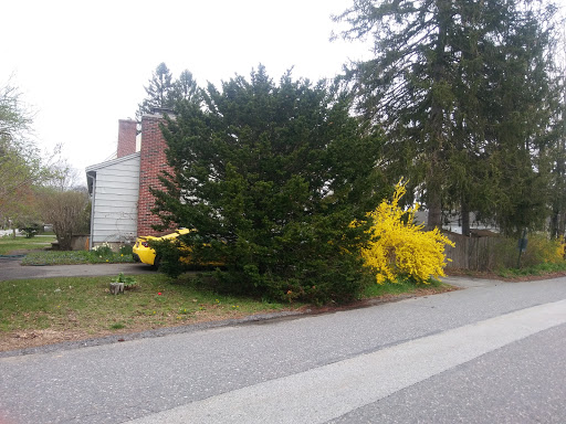 Park «Rideout Playground», reviews and photos, 61 Laws Brook Rd, Concord, MA 01742, USA