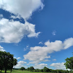 Photo n° 1 de l'avis de Céline.n fait le 05/06/2021 à 12:27 pour Restaurant l'Auberge des sarcelles à Saint-Martin-d'Aubigny