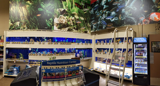PetSmart image