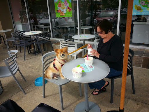 Frozen Yogurt Shop «Yogurtland», reviews and photos, 152 Sunset Dr, San Ramon, CA 94583, USA