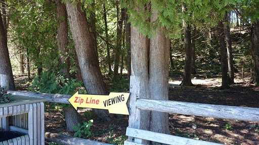 Tourist Attraction «Mystery Spot», reviews and photos, N916 Martin Lake Rd, St Ignace, MI 49781, USA