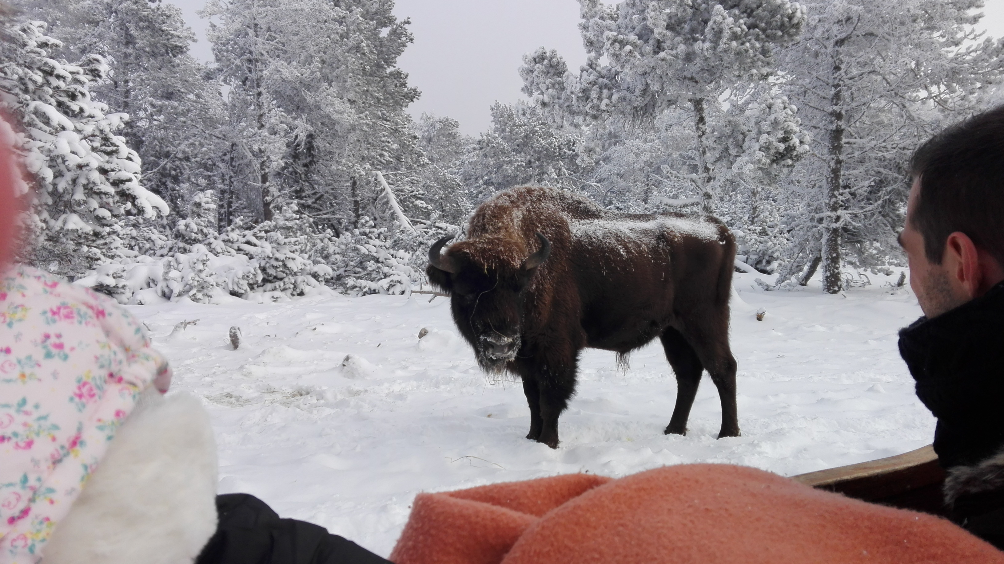 Photo n° 1 de l'avis de Sophie.o fait le 20/01/2017 à 23:20