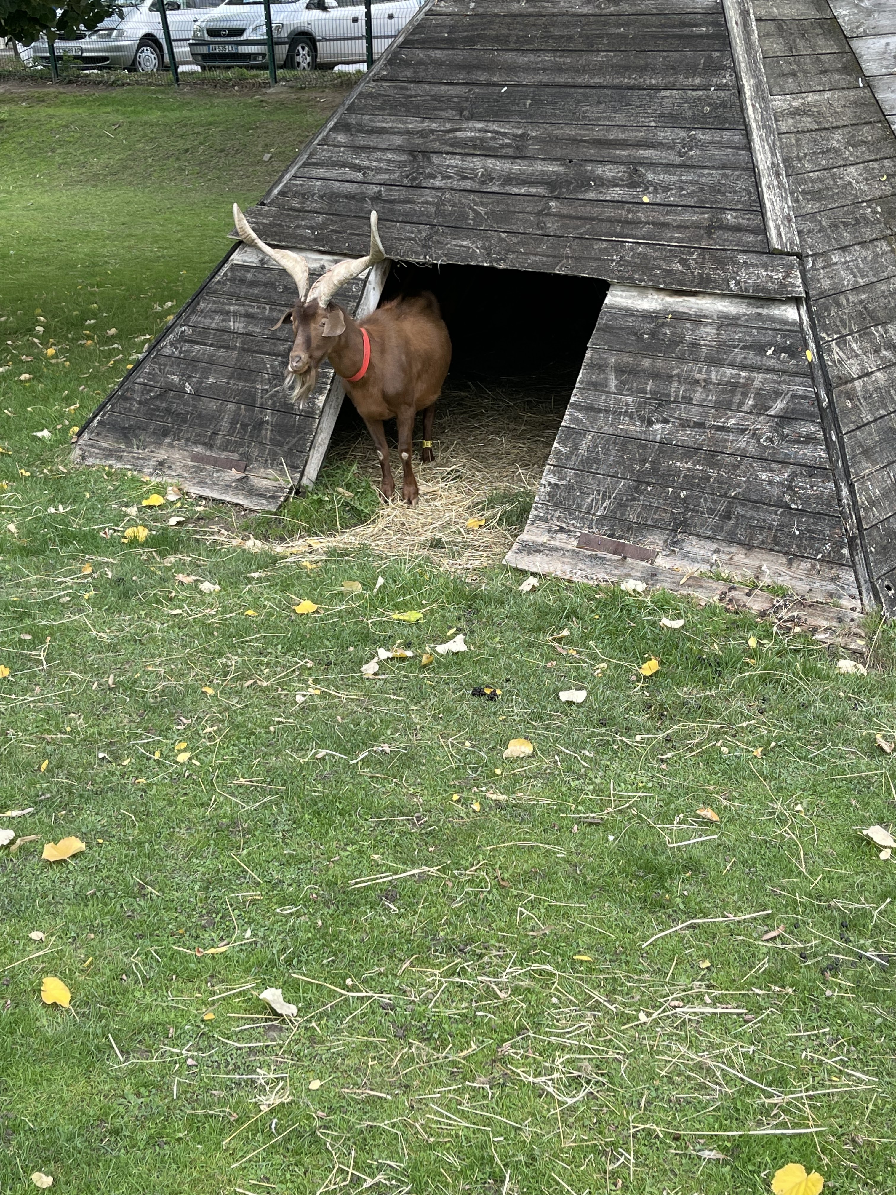 Photo n° 5 de l'avis de Philippe.a fait le 28/09/2022 à 15:28