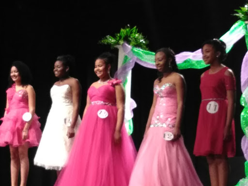 Performing Arts Theater «Krider Performing Arts Center», reviews and photos, 650 Volunteer Dr, Paris, TN 38242, USA