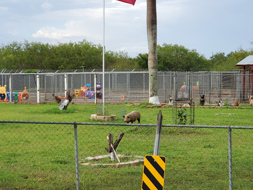 Canine Country Club Kennel