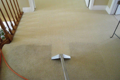 Elegance Carpet Cleaning