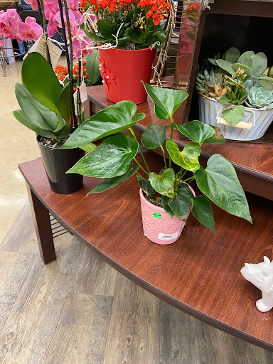 Department Store «Marshalls», reviews and photos, 908 Camino Del Rio N, San Diego, CA 92108, USA