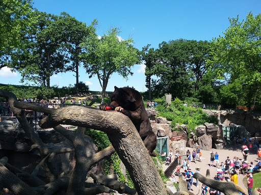 Zoo «Durhams Bear Canyon», reviews and photos, 3701 S 10th St, Omaha, NE 68107, USA