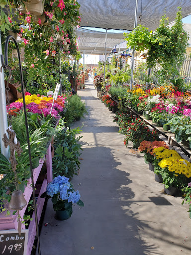 Florist «Plant Safari», reviews and photos, 653 N Central Ave, Upland, CA 91786, USA