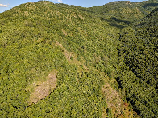 National Reserve «Mount St. Helens National Volcanic Monument», reviews and photos, 3029 Spirit Lake Hwy, Castle Rock, WA 98611, USA