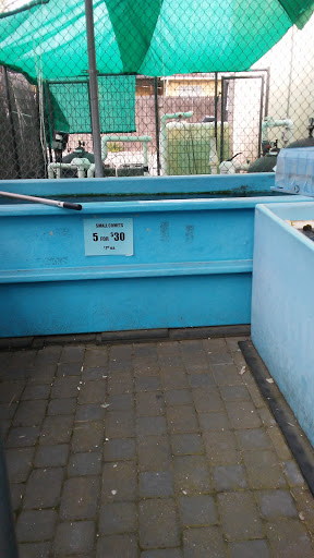 Pet Supply Store «Concord Feed Pet & Livestock Supplies», reviews and photos, 228 Hookston Rd, Pleasant Hill, CA 94523, USA