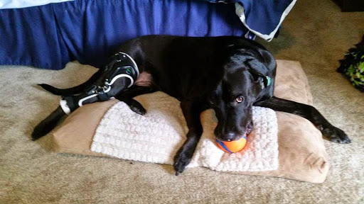 1130 W 124th Ave #900, Westminster, CO 80234, USA