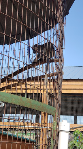 Zoo «Hemker Park & Zoo», reviews and photos, 26715 County Road 39, Freeport, MN 56331, USA