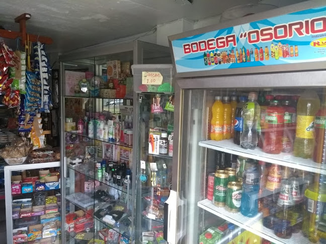 Opiniones de Bodega Bazar "Osorio" en Bellavista - Supermercado