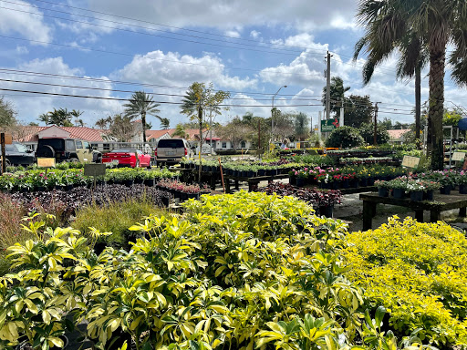 Wholesale Plant Nursery «Galloway Farm Nursery Inc.», reviews and photos, 7790 SW 87th Ave, Miami, FL 33173, USA