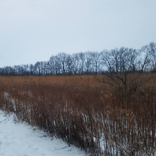Nature Preserve «Hoover Forest Preserve», reviews and photos, 11285 W Fox Rd, Yorkville, IL 60560, USA