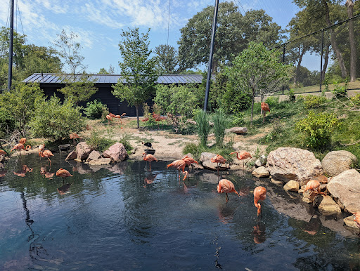 Zoo «Simmons Aviary», reviews and photos, 3701 S 10th St, Omaha, NE 68107, USA