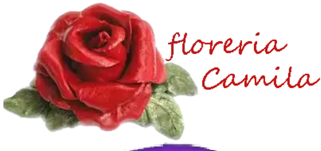 Floreria Camila - Floristería