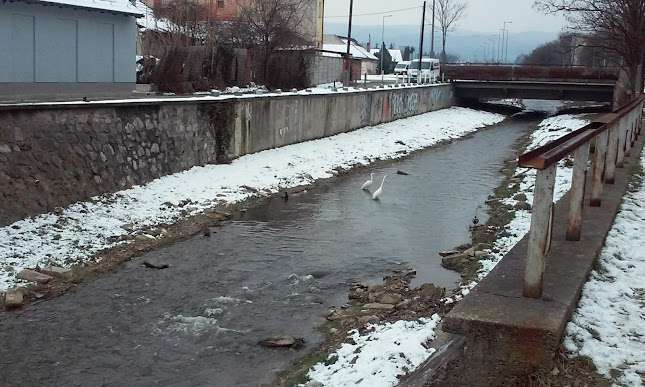 Zrínyi Ilona Gimnázium - Iskola