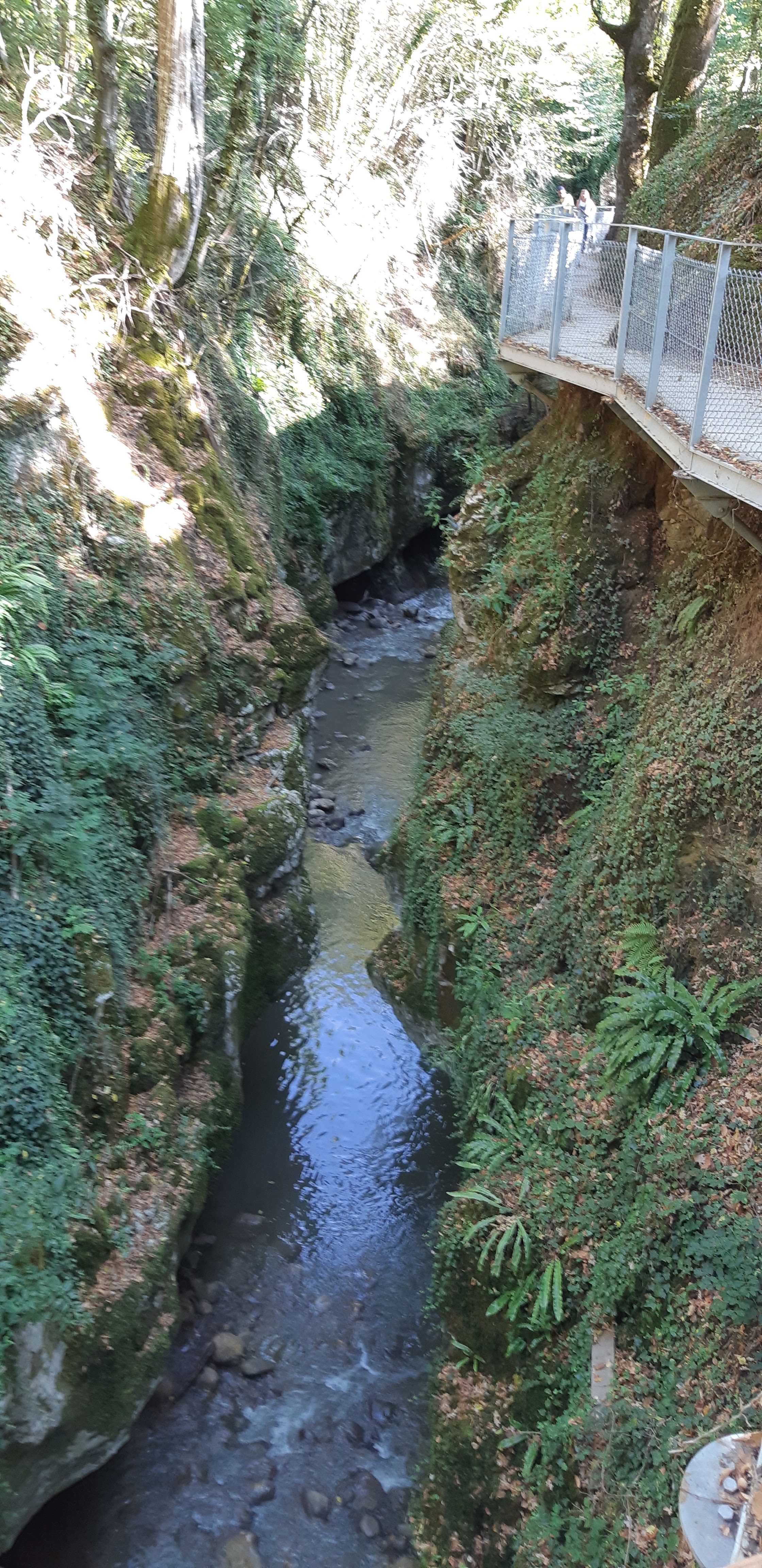 Photo n° 6 de l'avis de Florence.e fait le 18/08/2022 à 14:21