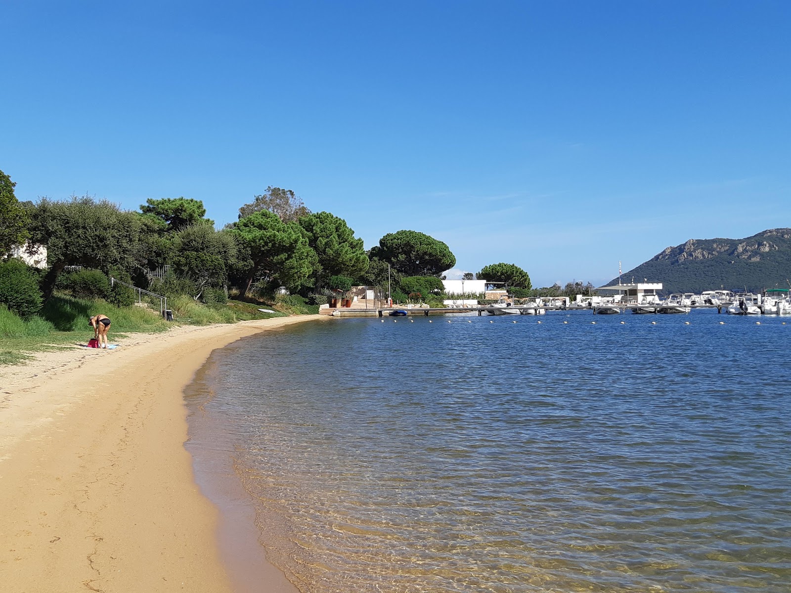 Foto di Plage Punta di Benedettu V con una superficie del sabbia beige