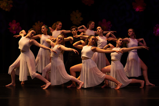 Dance School «Greater Washington Dance Center», reviews and photos, 12320 Pinecrest Rd #100, Reston, VA 20191, USA