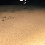 Photo n°7 de l'avis de Angela.a fait le 13/10/2023 à 21:00 sur le  Hotel Baja Azzurra à Bari Sardo