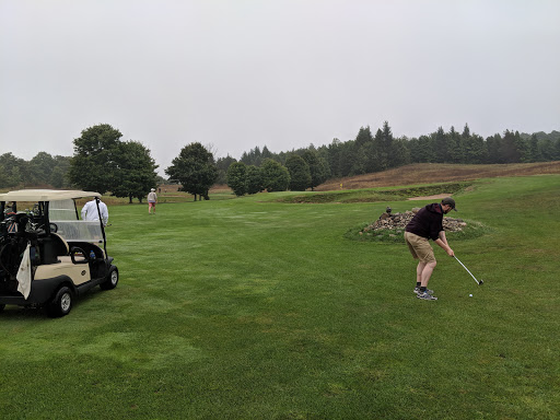 Golf Course «Champion Hill Golf Course», reviews and photos, 501 N Marshall Rd, Beulah, MI 49617, USA