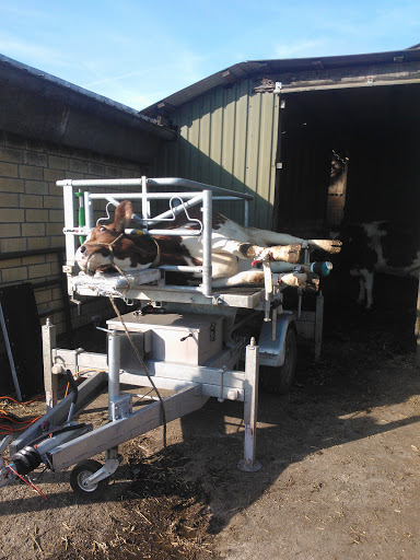 Tierärztliche Gemeinschaftspraxis Vetplan Mielke, Pudlas & Stien unter Garding, Schleswig-Holstein