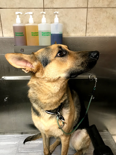 Pet Supply Store «Pet Supplies Plus», reviews and photos, 4100 Legacy Dr Suite 402, Plano, TX 75024, USA