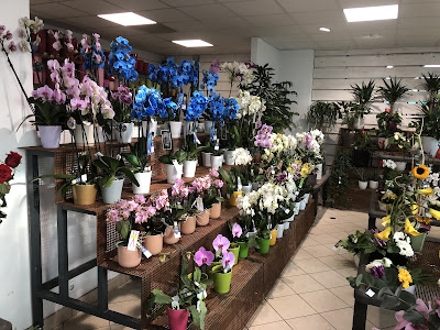 Le Clos des Fleurs à Saint-Avold