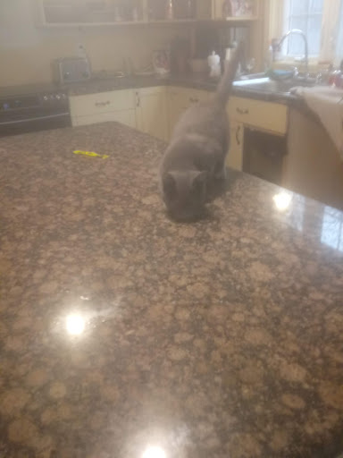 Liquor Store «Hampden Discount Liquors», reviews and photos, 7 Allen St, Hampden, MA 01036, USA