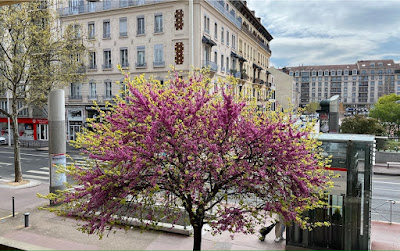 Annick Dahan - EspritSophro Sophrologue Lyon 3 à Lyon