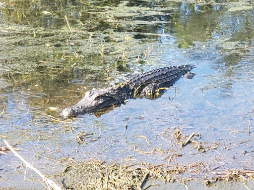 Golf Course «TPC Tampa Bay», reviews and photos, 5300 W Lutz Lake Fern Rd, Lutz, FL 33558, USA