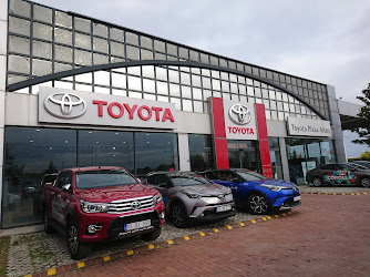 Altan Motorlu Araçlar