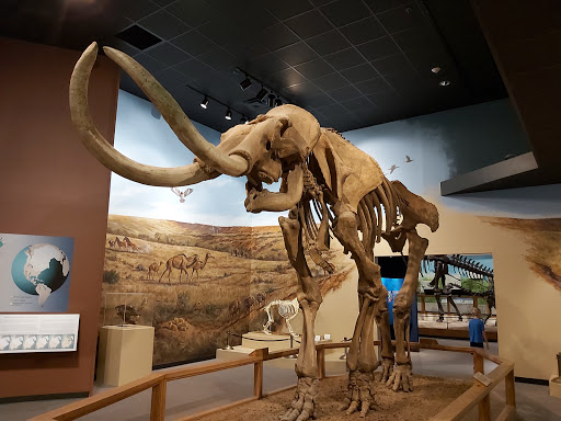 Museum «Museum of Texas Tech University», reviews and photos, 3301 4th St, Lubbock, TX 79415, USA