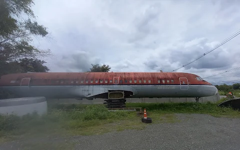 Dumped Airplanes image