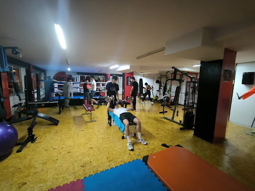 El Templo de Odín Gym en Ponferrada, León