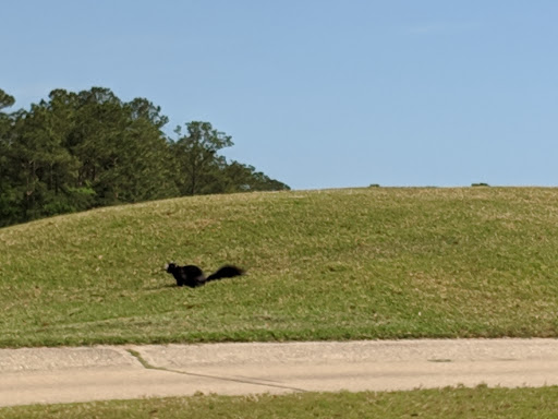 Golf Course «Founders Club at Pawleys Island», reviews and photos, 7829 Ocean Hwy, Pawleys Island, SC 29585, USA