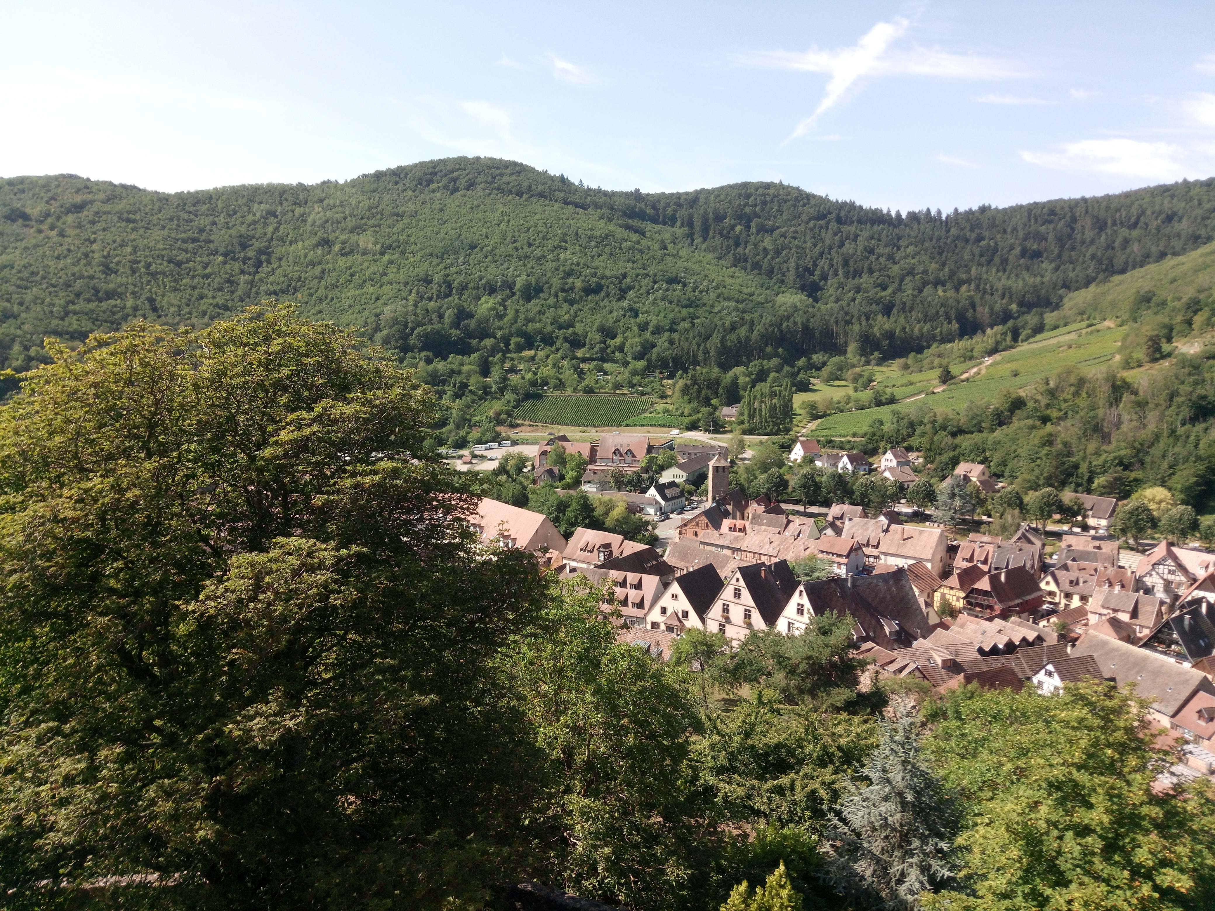 Photo n° 9 de l'avis de Samuel.a fait le 01/08/2019 à 12:02