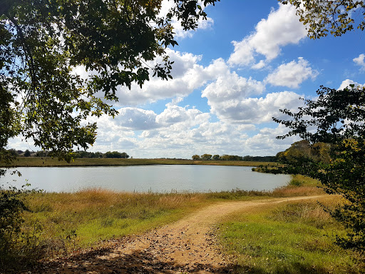 Gerald D. Hines Waterwall Park