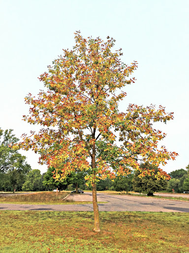 State Park «Willow River State Park», reviews and photos, 1034 County Highway A, Hudson, WI 54016, USA