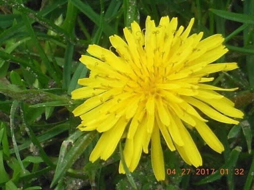 Park «Monte Irvin Orange Park», reviews and photos, S Harrison St, City of Orange, NJ 07050, USA