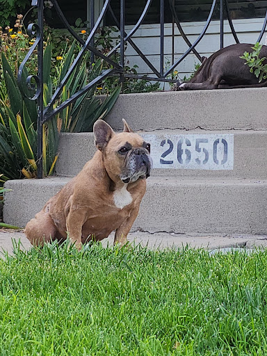 Pet Supply Store «Petco Animal Supplies», reviews and photos, 3637 2700 W, West Valley City, UT 84119, USA