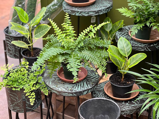 Garden Center «Bucks Country Gardens», reviews and photos, 1057 N Easton Rd, Doylestown, PA 18902, USA