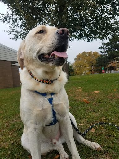 Park «Strachauer Park», reviews and photos, 6200 Beard Ave S, Edina, MN 55410, USA