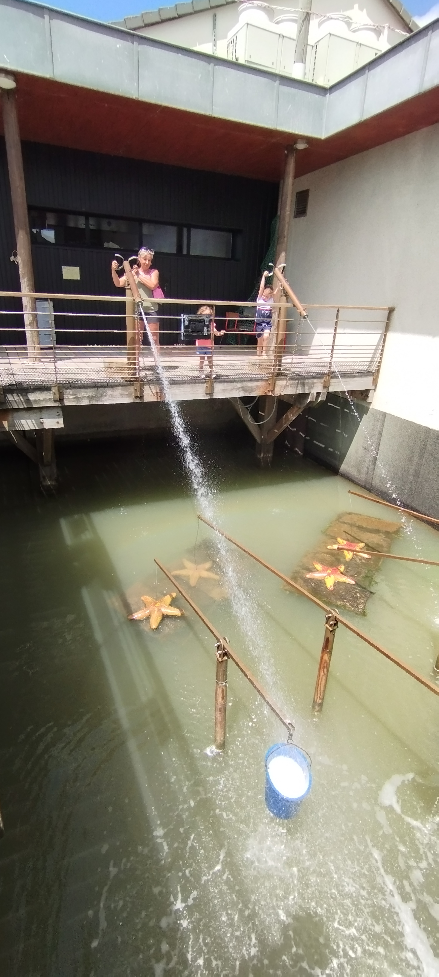 Photo n° 4 de l'avis de Sophie.i fait le 08/08/2022 à 15:27