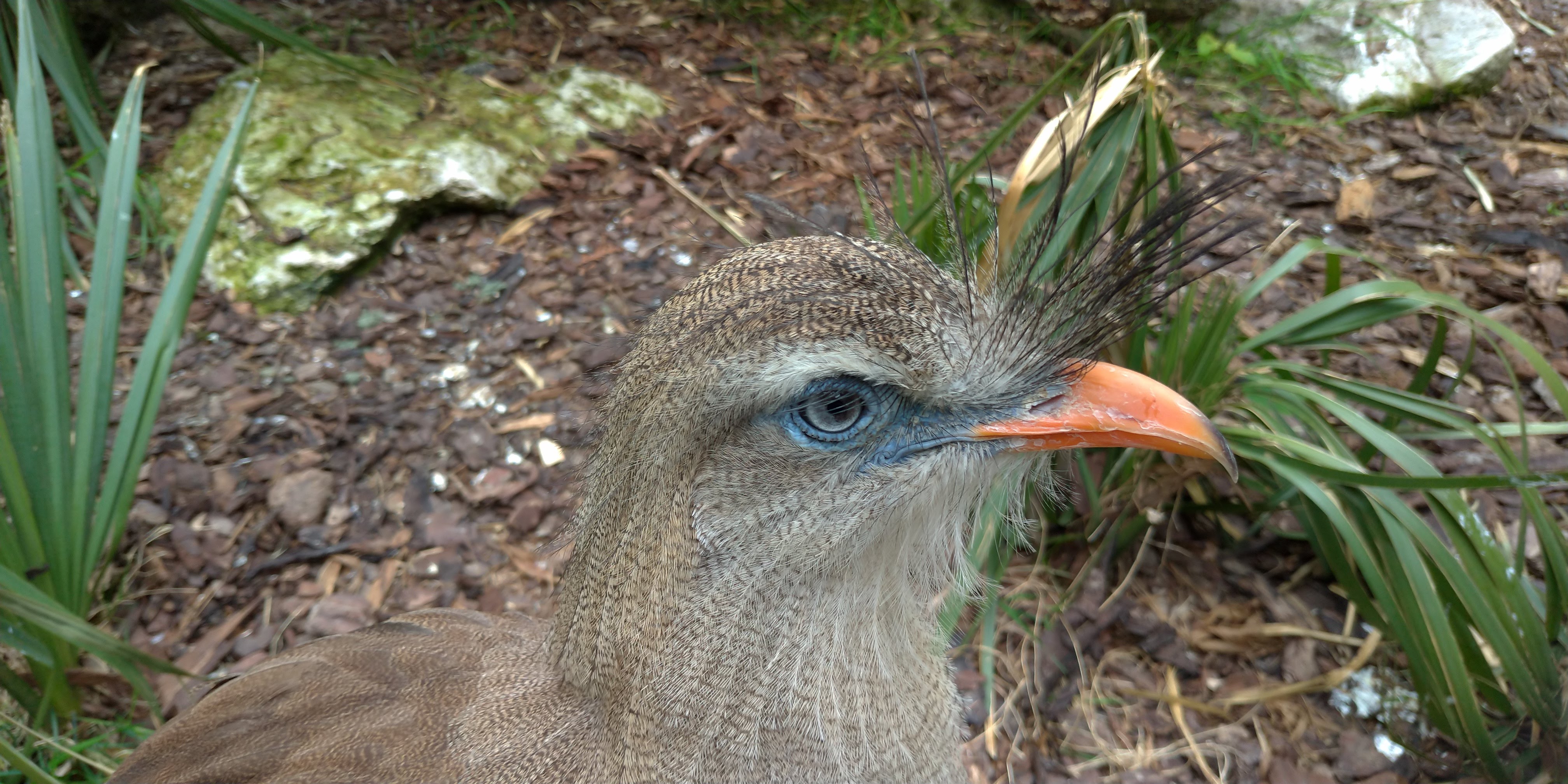 Photo n° 9 de l'avis de Maxime.E fait le 19/05/2019 à 20:15