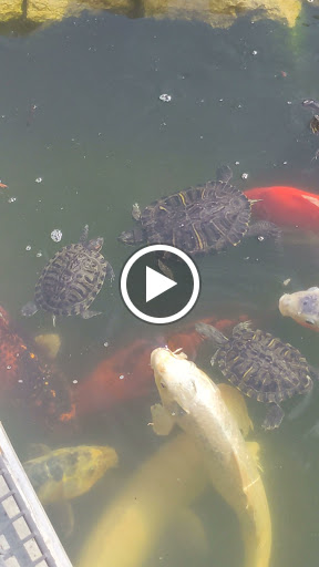 Gas Station «Chevron», reviews and photos, 25991 Crown Valley Pkwy, Laguna Niguel, CA 92677, USA