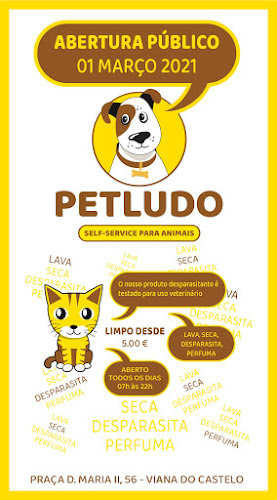 PetLudo Dog Wash - Lavandería